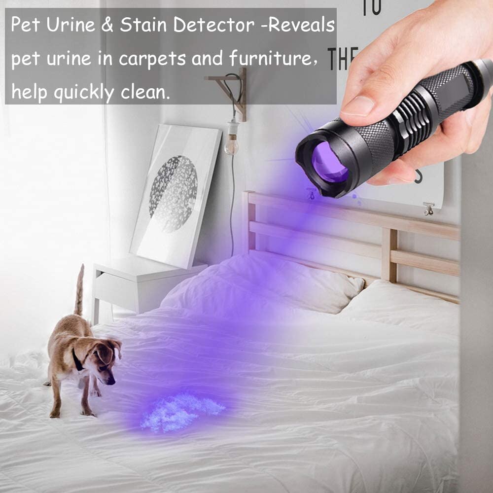 LED UV Flashlight Shining Light Top Quality High-Tech- Reliable Unseen