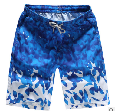 Shorts Quick Dry Printing Beach Summer Swimming Clothing Nice Print   