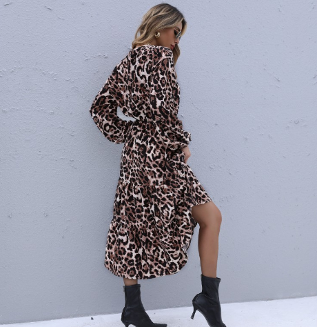 Dress Women's Leopard Print Style Design Fashion Wearable Sexy Beauty 